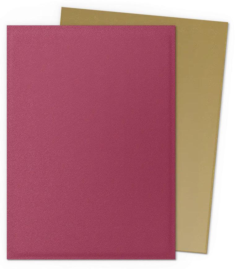 Dragon Shield Matte Sleeves: 100 CT Pomegranate/Gold