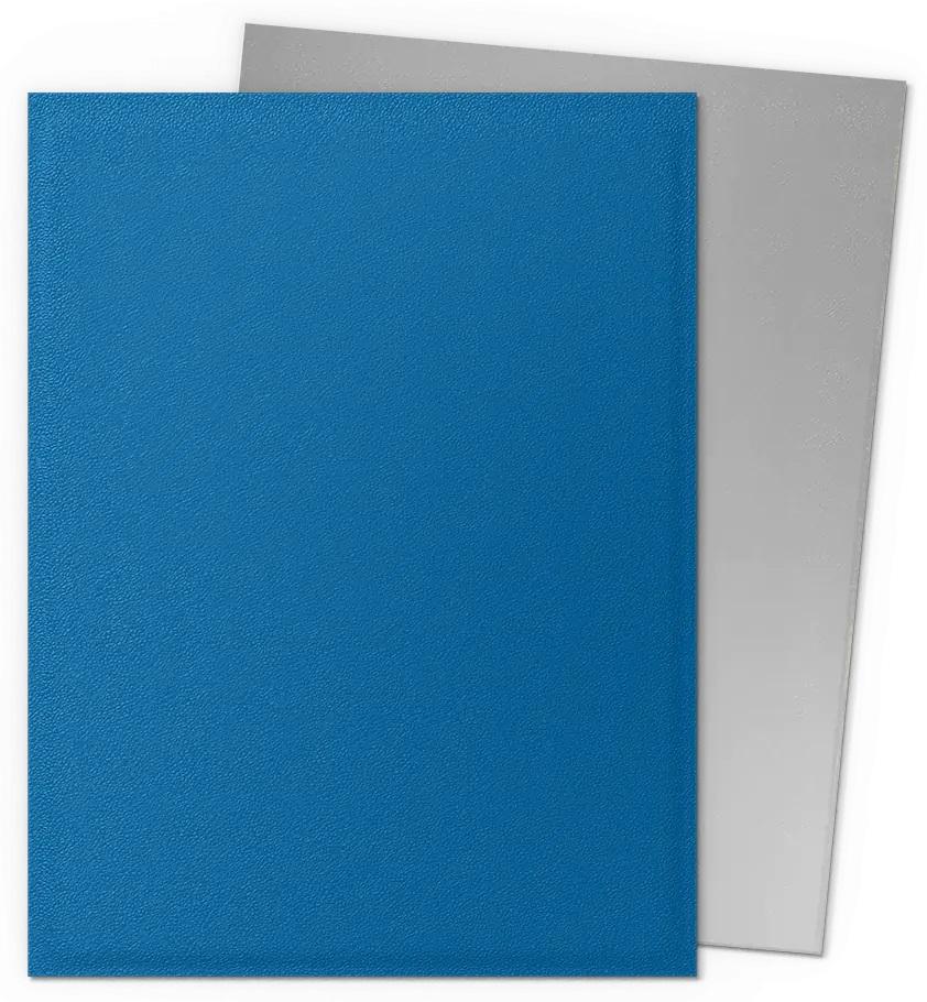 Dragon Shield Dual Matter Sleeves 100CT: Cobalt / Silver