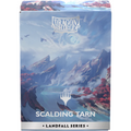 Dragon Shield Matte Dual Art Sleeves: Scalding Tarn 100CT